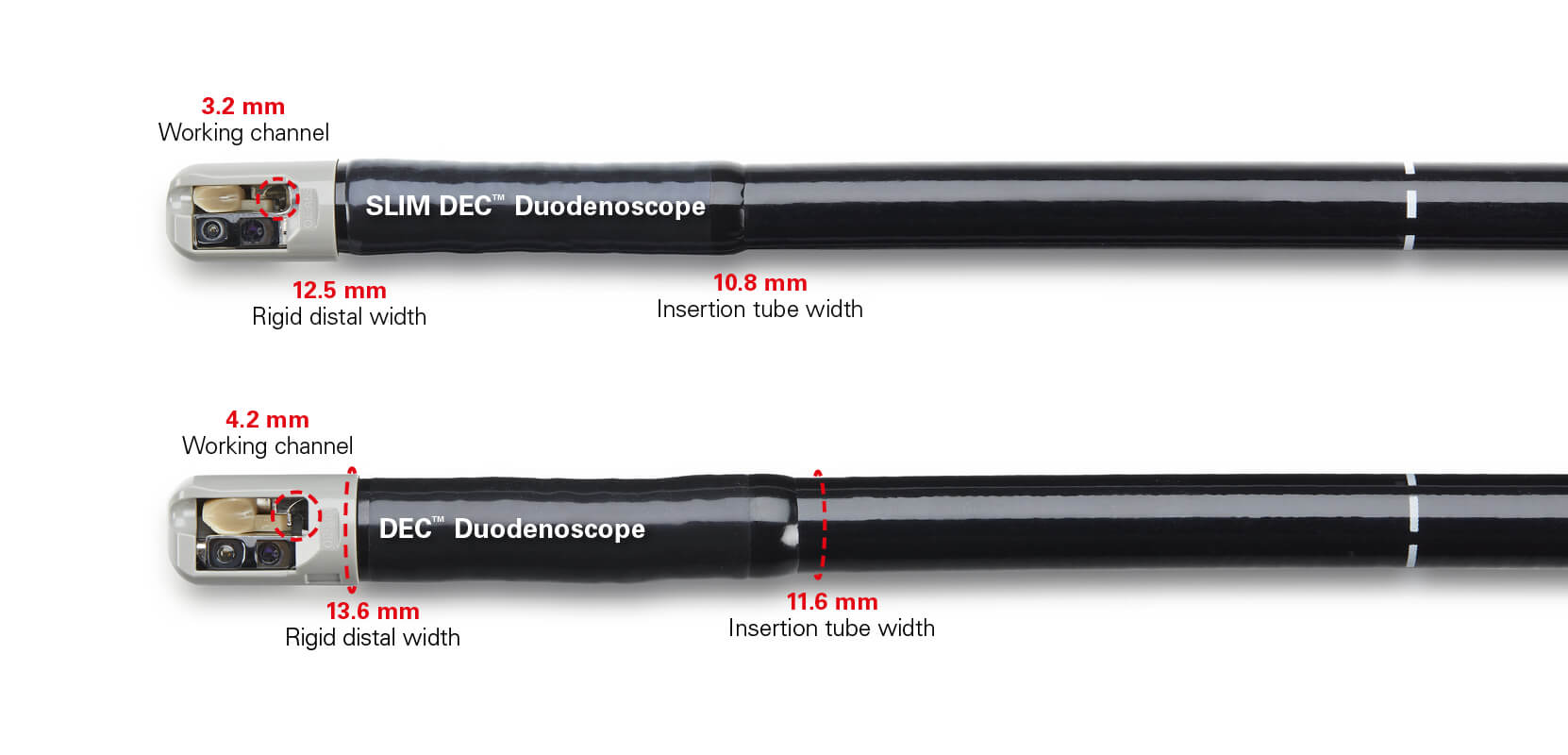 PENTAX Medical Slim DEC and DEC Duodenoscope dimensions comparison